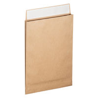 スーパーバッグ 薄マチ宅配袋（紙製） ラミネート加工 茶 ネコポス対応サイズ 封かんシール付 1箱（200枚：50枚入×4パック）