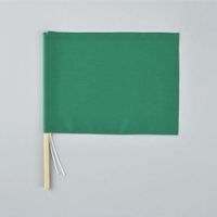 エスコ 300x420mm 手旗(緑) EA916XL-1A 1セット(10個:1個×10本)（直送品）