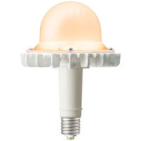 LEDioc LEDアイランプ SP-W　(屋内用)77ｗ電球色 LDGS77L-H-E39/HB/DX250A 1個 岩崎電気（直送品）