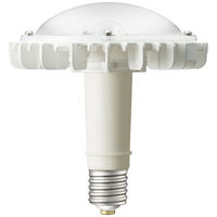 LEDioc LEDアイランプ SP/77W/E39口金/昼白色 LDRS77N-H-E39/HS/H300A 1個 岩崎電気（直送品）