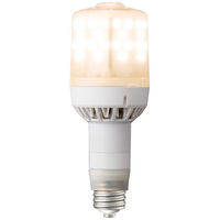 LEDioc LEDライトバルブF　79W電球色（水銀ランプ250W相当） LDS79L-G-E39FA 1個 岩崎電気（直送品）