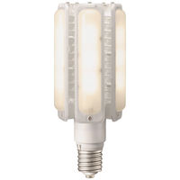 LEDiocLEDライトバルブ110W（電球色） LDTS110L-G-E39 1個 岩崎電気（直送品）