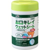 玉川衛材 ケアハート 口腔専科 お口キレイウェットシートN ボトル 4901957110087 1セット（120枚×6個）