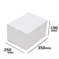 ロジマート ダンボール 80サイズ NO344 350×250×190 白 10枚 引っ越し フリマアプリ 梱包（直送品）