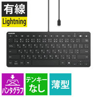 エレコム Lightning有線キーボード/US配列/パンタグラフ/ブラック TK-LCP01BK 1個