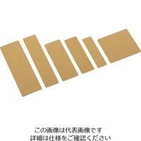 光 ステンレスチタンゴールド無地 テープ付 TG304-T 1枚 225-3895（直送品）