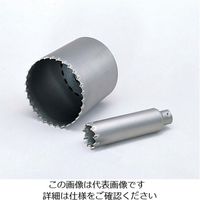 ボッシュ 振動コア カッター22mmロング PSI-L022C 1本 733-5385（直送品）