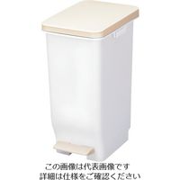 テラモト セパスリムペダル DS-240-620-0 1個 120-5349（直送品）