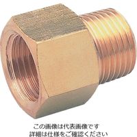 アソー ASOH 内外ソケット PT1/4(RoHS) NF-1022R 1個 195-3901（直送品）