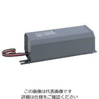 岩崎電気 岩崎 水銀ランプ用安定器 1000W200V 50Hz H10CC2A51 1台 805-2915（直送品）