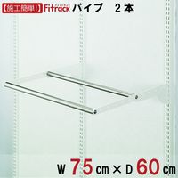 藤山 Fitrack(フィットラック) Wパイプ 幅750×mm奥行600mm ステン色 WPN75-F 1セット（直送品）