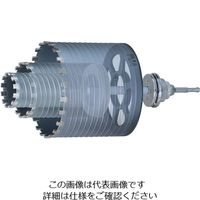 ユニカ UR21 乾式ダイヤ170mm ボディ(替刃)のみ(URーLシャンク対応) UR21-D170B 1本 189-5304（直送品）