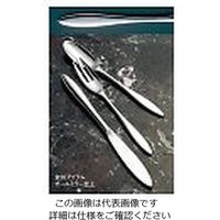 アズワン 18-10 モンブラン デザートナイフ（H・H）ノコ刃付 1個 61-7608-45（直送品）