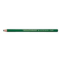 エスコ 油性色鉛筆(12本/緑) EA765MD-29 1セット(48本:12本×4箱)（直送品）