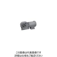 ニッセイ ギアモータ FF32R50-MM04TWNTN 601641231 1台（直送品）