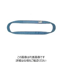 テザック（TESAC） ブルースリング IVN（エンドレスタイプ） 4N50X1.25 1本（直送品）