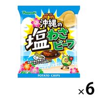 山芳製菓 ポテトチップス 沖縄の塩わさビーフ 6袋 スナック菓子