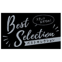 ササガワ アピールカード 名刺サイズ Best Selection 16-5503 1セット：25枚（5枚袋入×5冊袋入）（取寄品）