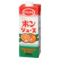 えひめ飲料 ポンジュース紙パック（24個）（直送品）