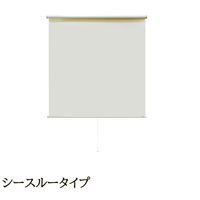 ナプコインテリア シングルロールスクリーン マグネットタイプ プル式 ソレイユ 幅1000×高さ1500mm ホワイト 1本（直送品）