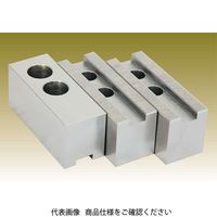 アーム産業 豊和用鉄生爪 P1.5 （標準） HO22M-10 H48 1セット（直送品）