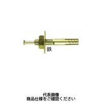 若井産業 ニューストレートアンカー コンクリート用 C10600N 1セット(360本)（直送品）