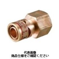 未来工業 水栓アダプター めねじ WM-10A-15 1セット（5個）（直送品）