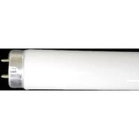 パナソニック 直管蛍光灯 40W ラピッドスタート形 電球色 パルック蛍光灯 FLR40SEXLM（直送品）