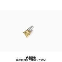 Seco Tools フライス ミニマスター用チップ MM16-16011-R10-PL- MM16-16011-R10-PL-MD07F30M（直送品）