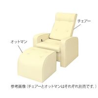 高田ベッド製作所 リクライオットマン メディグリーン TB-787-02 1個 7-5264-15（直送品）