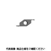 日本特殊陶業 TAチップ CSVC11FRV07 VM1 CSVC11FRV07VM1 1セット(10個)（直送品）