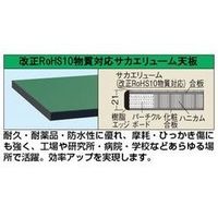 サカエ 作業台 オプション天板(軽量用天板) KKー1860FTEC KK-1860FTEC 1個（直送品）