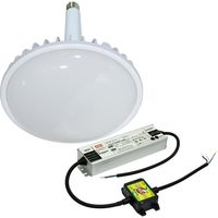 日動工業 LED交換球 L200V2-E39-HMW-50K（直送品）
