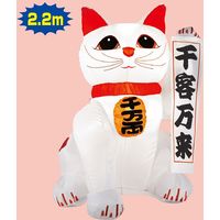 アルファ エアブロー 招き猫 TE7-4035 1セット（直送品）