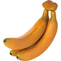 KMA　【食品サンプル】模型 バナナ房3本 2個入　049-4251053-2　1セット（2個入）（直送品）