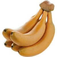 KMA　【食品サンプル】模型 バナナ房5本 2個入　049-4251055-2　1セット（2個入）（直送品）