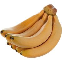 KMA　【食品サンプル】模型 バナナ房7本 1個入　049-4251057　1個（直送品）