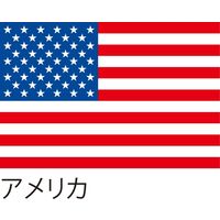【世界の国旗】服部 応援・装飾用旗 アメリカ 105×70cm ポンジ 1枚（直送品）