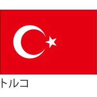 【世界の国旗】服部 応援・装飾用旗 105×70cm ポンジ
