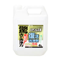 復活洗浄剤 ステンレス用 4L #00017660031040 カンペハピオ（直送品）