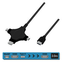 Vodaview　3in1HDMIケーブル　HDMI[オス]-USB(Type-C)/miniDP/HDMI[オス]　3m　VV-UCMDPHD-HD030