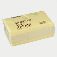パックスタイル 紙ナフキン BBソフトナフキン 300枚/100組 617496 1袋(1個)（直送品）