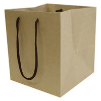 【紙袋】クラフトバッグ 真四角型 Lサイズ 1パック（10枚入 ）ハピラ（わけあり品）