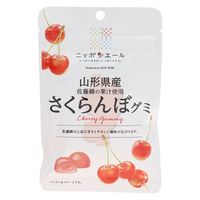 全国農協食品 山形県産さくらんぼグミ 4908012001106 40g×20個（直送品）