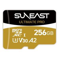 SUNEAST microSDXC UHS-I Card GOLD 256GB SE-MSDU1256B185 1個