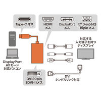 サンワサプライ USB Type C-HDMI/VGA/DVI/DisplayPort変換アダプタ AD-ALCHVDVDP 1個（直送品）