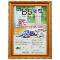 ナカバヤシ 樹脂製賞状額　金ケシ　Ｂ５ フ-KWP-31 1枚