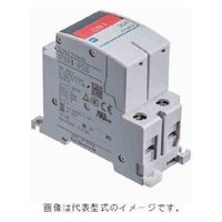 富士電機 CP30F形サーキットシリーズ　中速形 2極 定格電流 15A　CP30FM-2P015　1台（直送品）