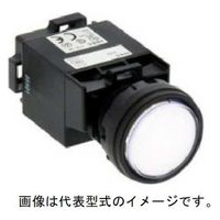 IDEC φ22HWシリーズパイロットライト丸平形記名式LED照光AC100/110V HW1P-1H2PW 1個（直送品）