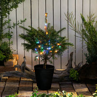 (株)リーフ Leaf Corp （観葉植物）クリスマスツリー　イルミネーション　ミックスカラー　もみの木（１本）（樹高５０～７０ｃｍ）（直送品）